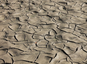 sol aride pour exprimer le manque d estime de soi, besoin psychologue