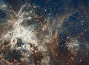 Les nébuleuses pour imager des bilans de compétences, psychologue aide